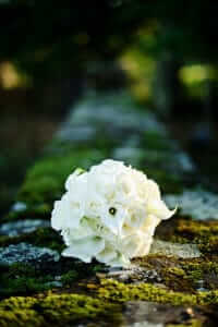 NIKON D700, AF 50mm f/1.4Gf/1.4, 1/1000, ISO 200, 50mm